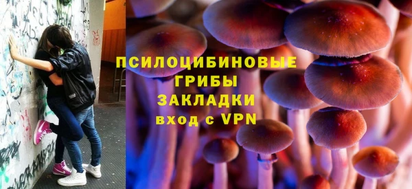 гашик Аркадак