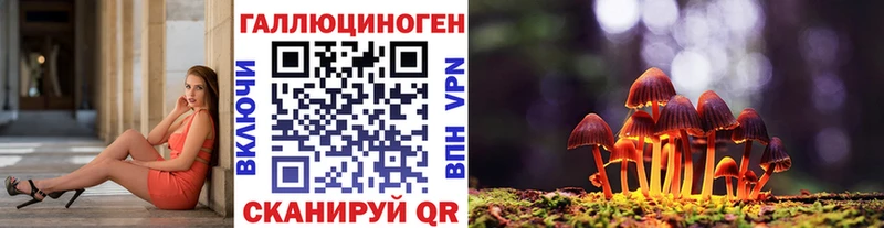продажа наркотиков  Белогорск  Псилоцибиновые грибы MAGIC MUSHROOMS 